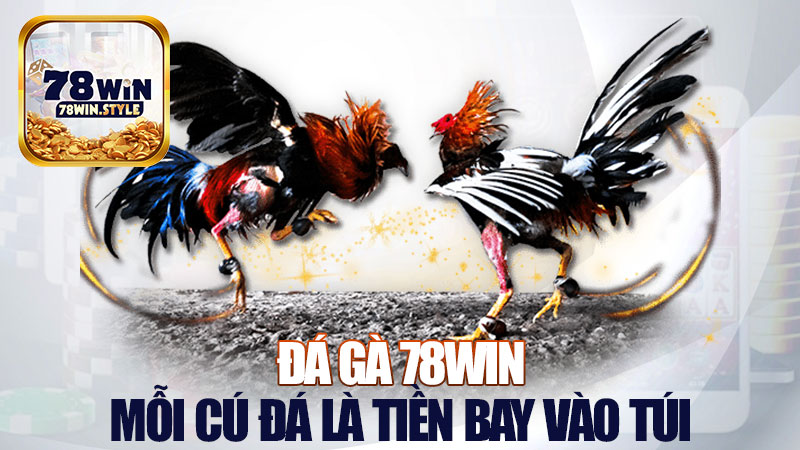 Đá gà 78Win: Mỗi cú đá là tiền bay vào túi